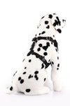 Plush Cotton Canvas Harness - Personalized For Your Dog