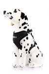 Plush Cotton Canvas Harness - Personalized For Your Dog