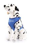 Plush Cotton Canvas Harness - Personalized For Your Dog