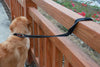 Deluxe Padded 'Cafe' Leash, with Reflection - Bamboo & Neoprene