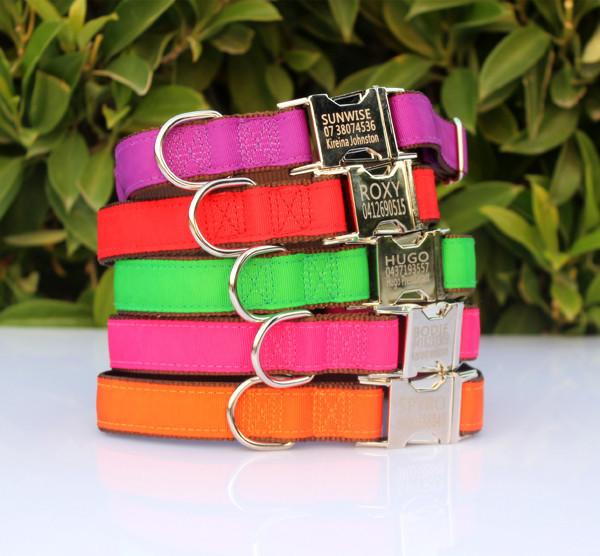 Personalized Pet Collar - Metal Buckle, Nylon and Colored Ribbon