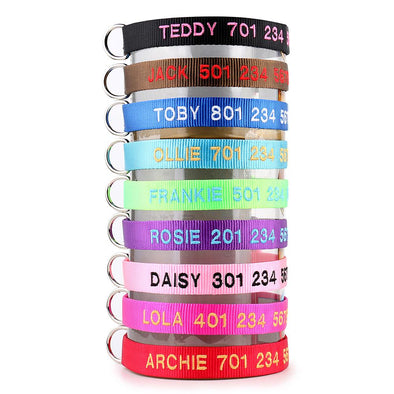 Embroidered clearance pet collars
