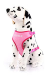 Plush Cotton Canvas Harness - Personalized For Your Dog