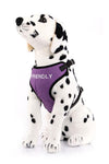 Plush Cotton Canvas Harness - Personalized For Your Dog