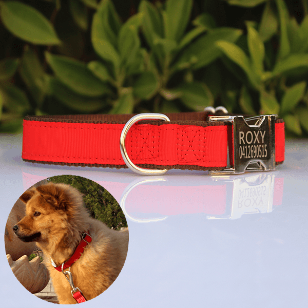 Custom Velvet Dog Collars With Personalized Embroidered Name And