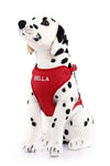 Plush Cotton Canvas Harness - Personalized For Your Dog